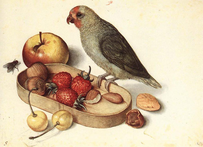 Oil Painting Reproduction of Flegel - Still Life with Pygmy Parrot