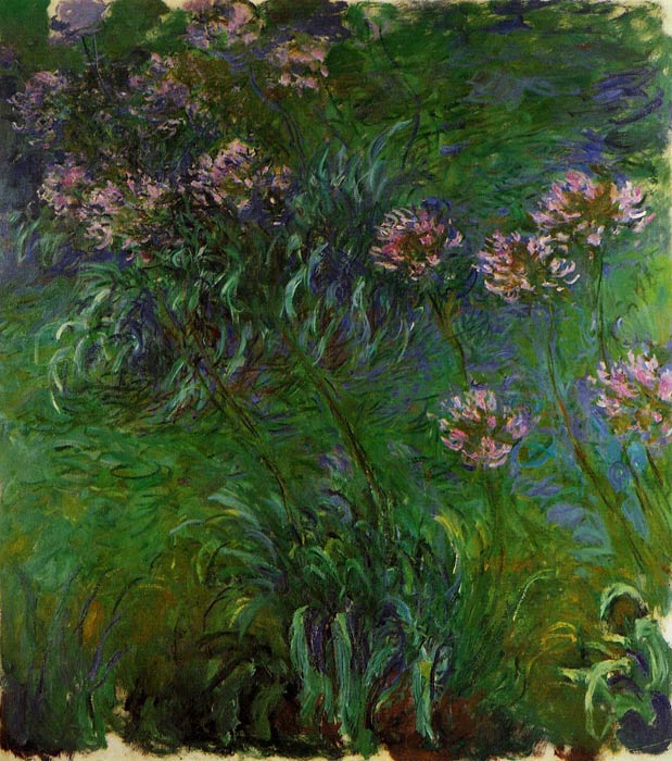 Oil Painting Reproduction of Monet- Agapanathus