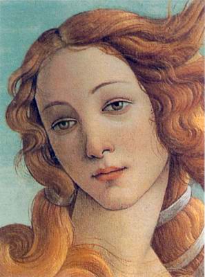 Venus painting, a Sandro Botticelli paintings reproduction, we never sell Venus poster