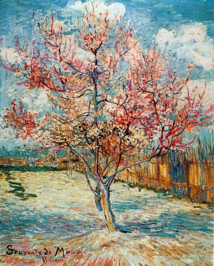 Peach Tree in Blossom painting
