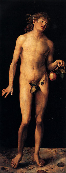 Durer Oil Painting Reproductions - Adam