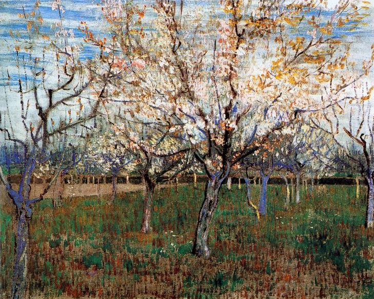 Orchard with Blossoming Apricot Trees painting, a Vincent Van Gogh paintings reproduction, we never