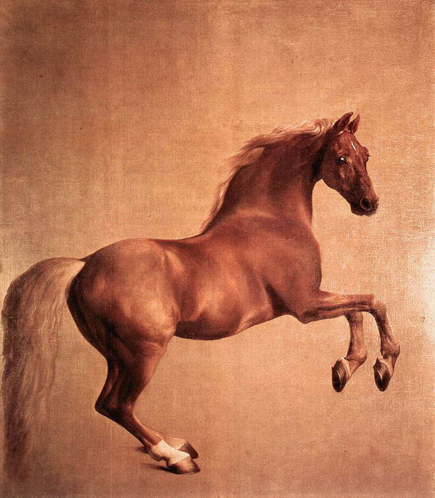 Oil Painting Reproduction of Stubbs- Whistlejacket
