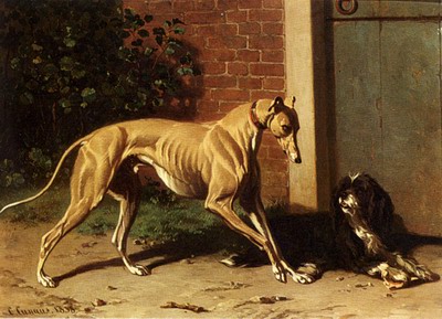 A Greyhound And A Shepherd Dog