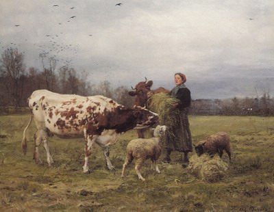 Wintertime with Cows and Sheep