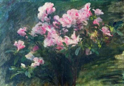 Azalees Etude, study of azaleas