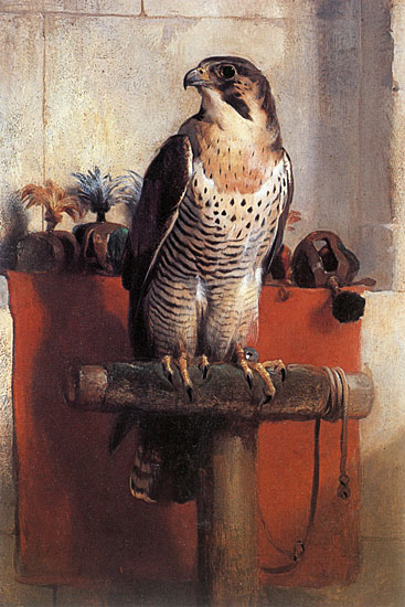 Falcon, Edwin Landseer