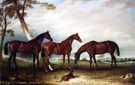 Three racehorses