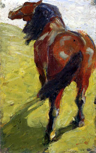 Horse study