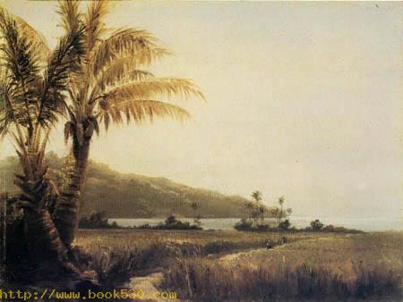 Tropical landscape, St. Thomas, Antilles