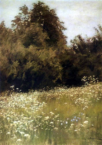 Meadow at the edge of forest