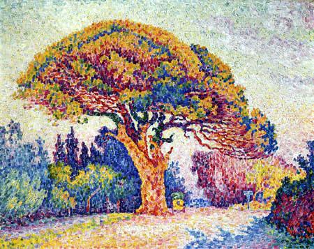 The pine of Bertaud, Saint