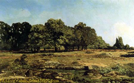 Wooded landscape, Fontainebleau