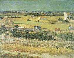 Harvest at La Crau Oil Painting