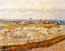 La Crau with Peach Trees in Blossom Oil Painting