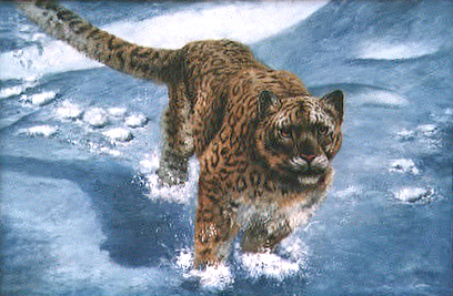 Oil painting for sale:leopard-001