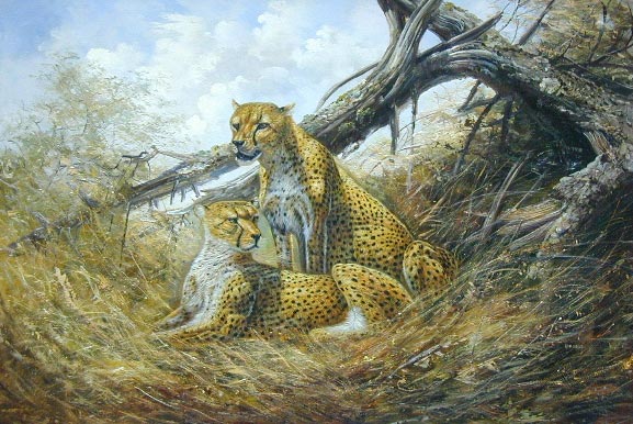 Oil painting for sale:leopard-003