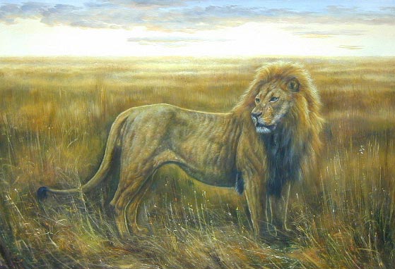 Oil painting for sale:lion-007