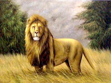 Oil painting for sale:lion-002