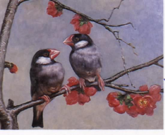 Oil painting for sale:birds-001