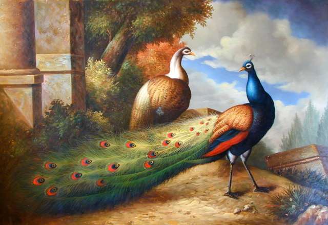 Oil painting for sale:birds-038