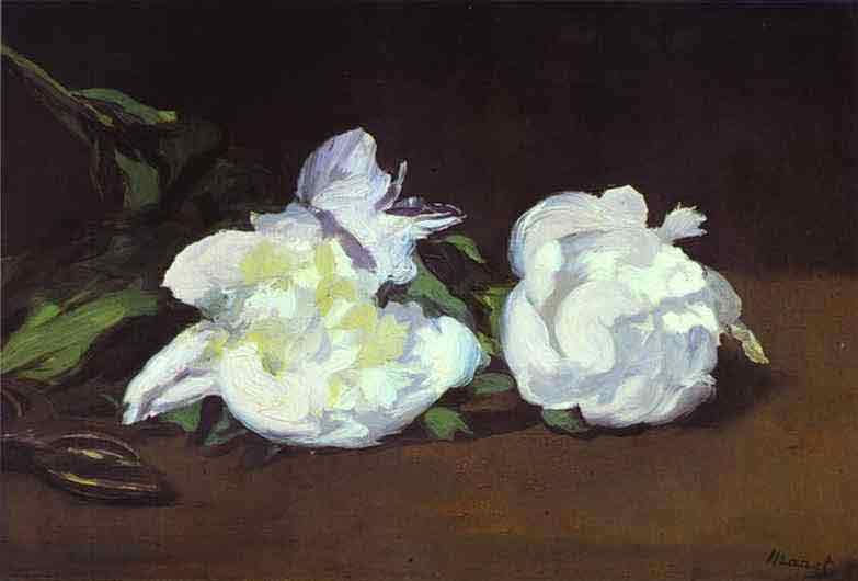 Branch of White Peonies and Shears. 1864