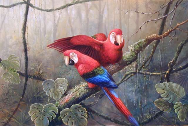 Oil painting for sale:birds-023