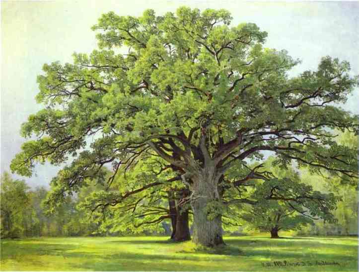 Oil painting:Oaks in Old Peterhof. 1891