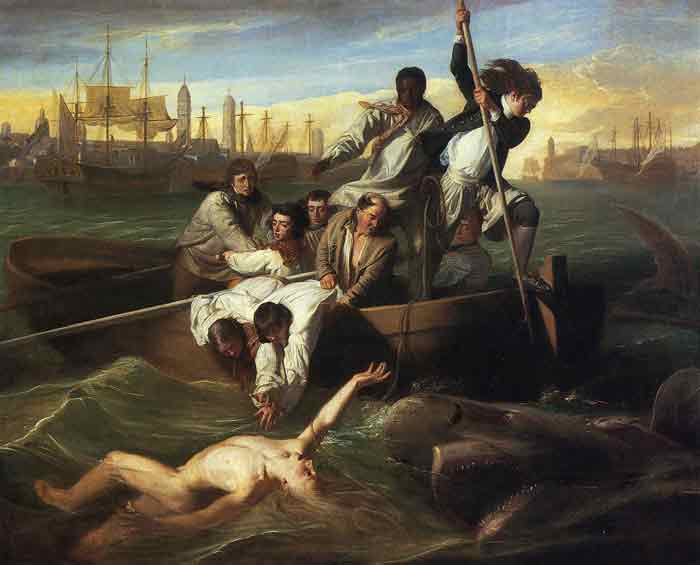 Oil painting for sale:Watson and the Shark, 1778