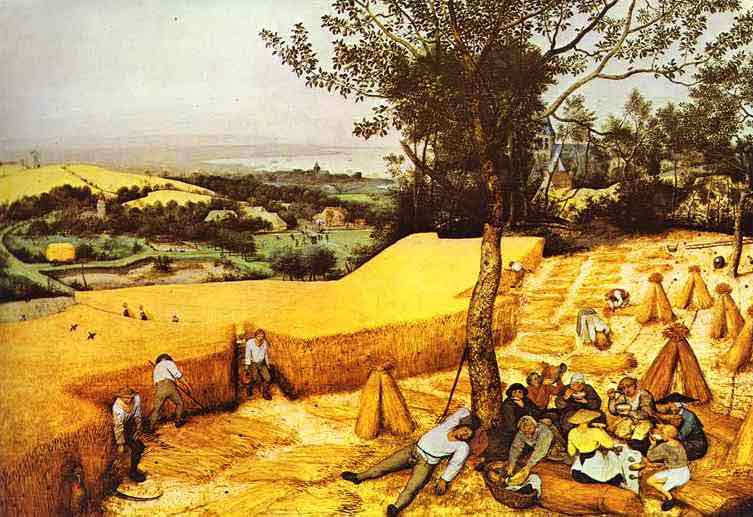 The Corn Harvest (August). 1565