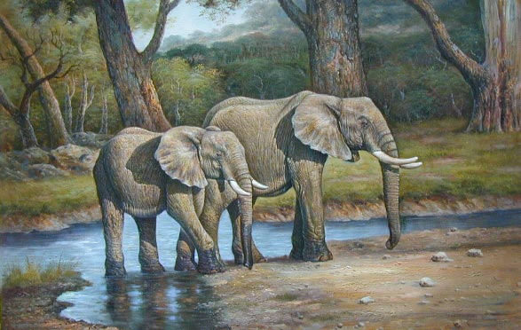 Oil painting for sale:elephant-005