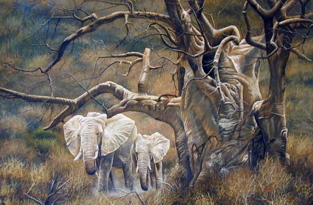 Oil painting for sale:elephant-007