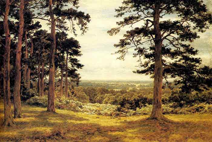 Oil painting for sale:A Peep Through The Pines, 1914