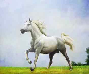 Oil painting for sale:horses-029