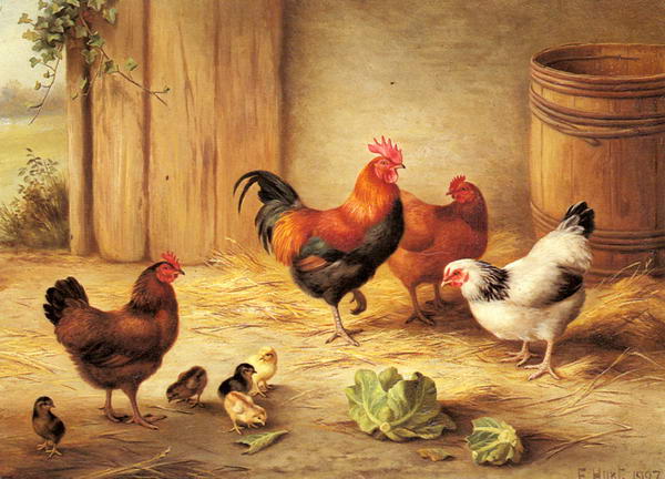 Chickens in a Barnyard