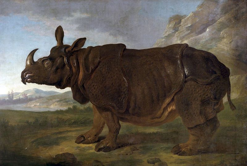 Clara, le Rhinoceros