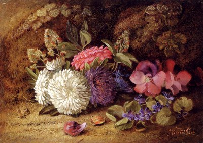 Asters, Pansies And Violets