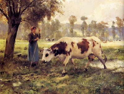 Cows At Pasture