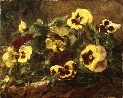 Pansies