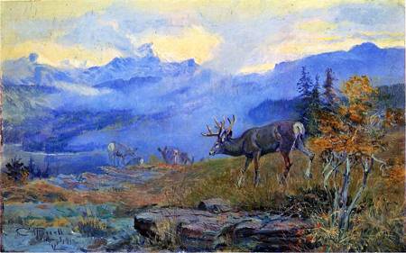 Deer Grazing 1912