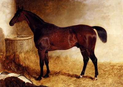 Flexible, A Chestnut Racehorse In A Loose Box