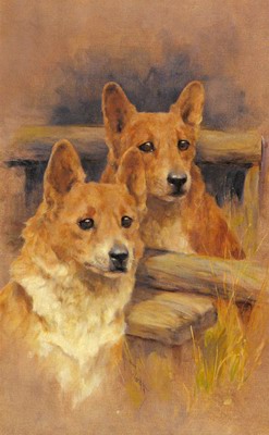 Two Corgies