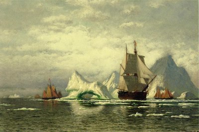 Arctic Whaler Homeward Bound Among the Icebergs