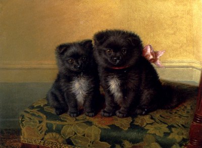 Two Chow Pups Seated On A Chair In An Interior