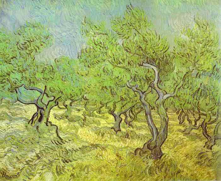 Olive Orchard. Saint-R