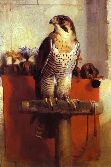 Falcon. 1837
