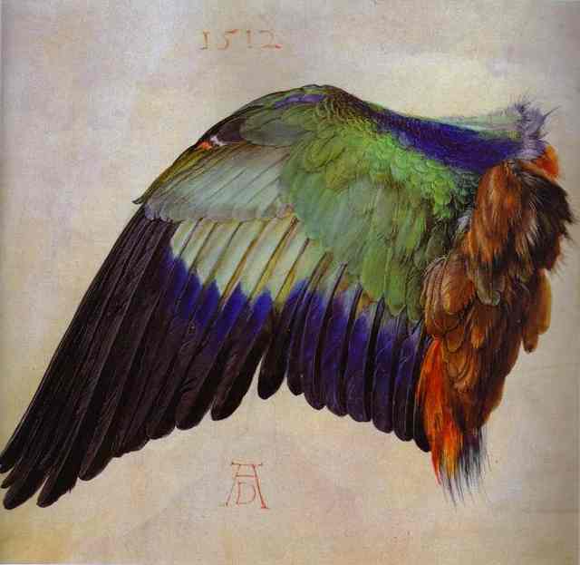 Oil painting:Wing of a Roller. 1512