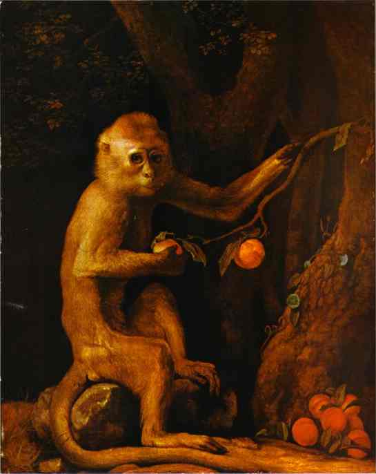 Oil painting:Green Monkey. 1798