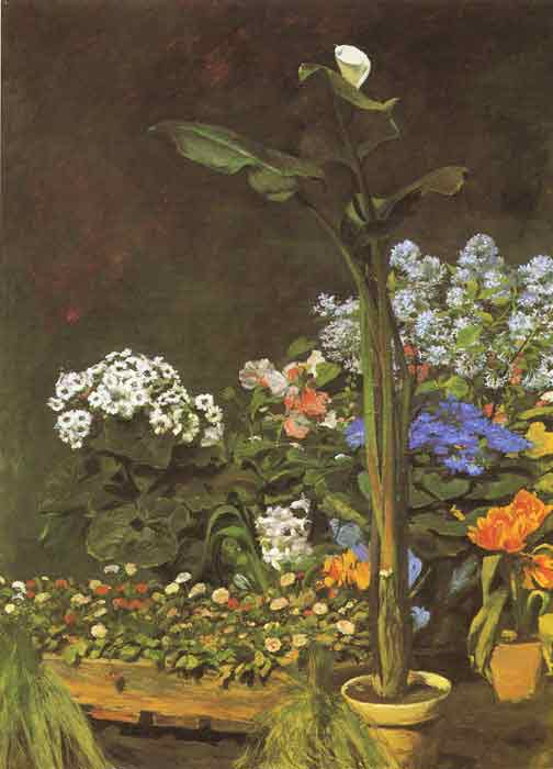 Oil painting for sale:Arum and Conservatory Plants, 1864