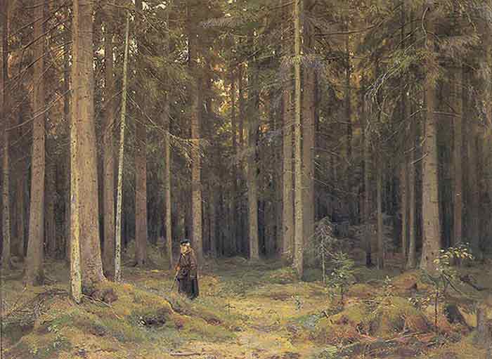 Oil painting for sale:The Forest of Countess Mordvinova, 1891